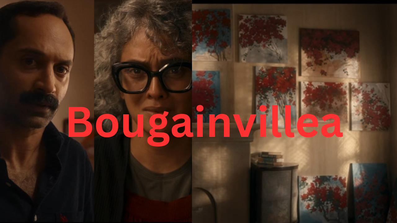 Bougainvillea Releases