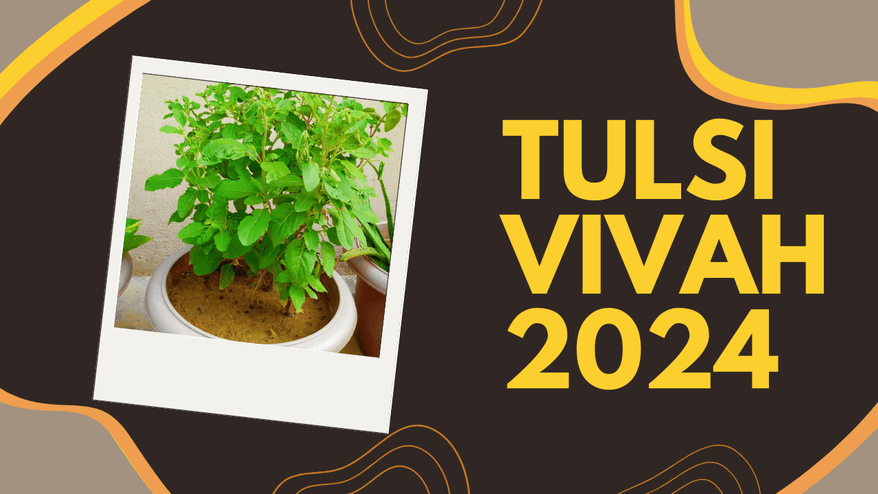 Tulsi Vivah 2024
