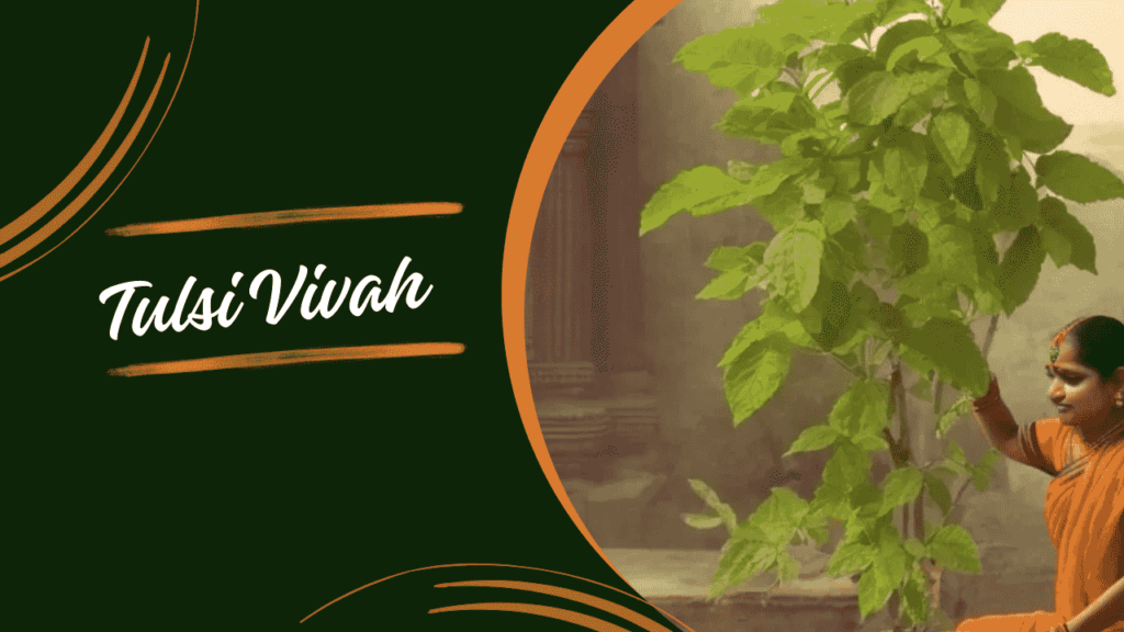 Tulsi Vivah Nov 2024